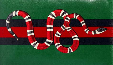 red gucci bomber snake|Gucci kingsnake.